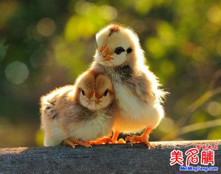 杭州新生兒最熱名字排行榜首次權(quán)威公開(kāi),起名漸趨中性化:宇軒、梓涵、梓睿、詩(shī)涵最多