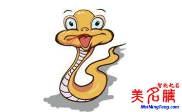 蛇,豬,龍,猴年八月財運(yùn)到