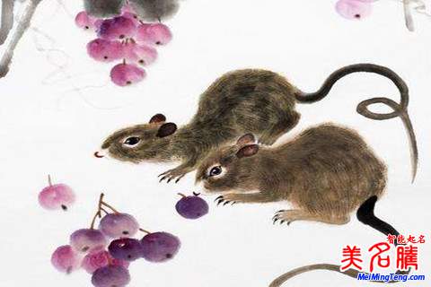 鼠年孫姓新生女?huà)肫鹈记珊兔执笕? /></a>鼠年孫姓新生女?huà)肫鹈记珊兔执笕号⑸鷣?lái)就是父母身邊的小公主，而且女孩乖巧可愛(ài)、溫柔賢惠，可以給父母帶來(lái)一絲快樂(lè)和幫助。以下美名騰起名網(wǎng)整理了一些鼠年孫姓新生女?huà)肫鹈记?，一起?lái)看看吧！鼠年孫姓新...</div>
			         <span id="ctl00_ContentPlaceHolder1_subjectList_dgNews_ctl11_Label1" style="color:Green;font-size:10pt;">2018/4/30 17:31:05</span>
			        <div style="height:5px; font-size:5px"> </div>
			        <hr width="99%" style="text-align:center; border-style:dotted; border-width:0px; height:1px;" />
			        <div style="height:5px; font-size:5px"> </div>
			    </div>
		        </td>
	</tr><tr style="border-width:0px;">
		<td valign="top">
		        <div style="padding-left:3px; padding-right:3px;line-height:180%">
			         <h3 style="padding:0px;margin:0px;display:inline;"><a id="ctl00_ContentPlaceHolder1_subjectList_dgNews_ctl12_HyperLink1" class="headline" href="/subject/shu/s.aspx?newsid=8345" target="_blank">鼠年錢(qián)姓男孩起名注意事項(xiàng)和名字大全</a></h3>
			        
			          <span style="color:Red;font-size:8pt;"></span>
			        <br />
			        <div style="padding-top:1px; width:95%; padding-left:8px; line-height:180%;color:#2f2f2f;font-size:14px;" ><a href=