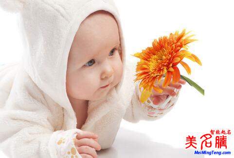 用字輩起名法給寶寶起名，輩分字起名