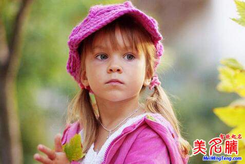 2019豬年何姓寶寶起名